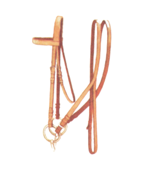 Snaffle Horse Bridle