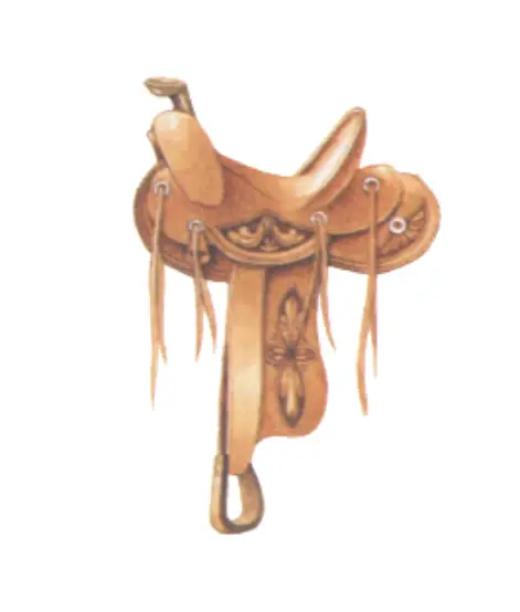 Western horse saddle type