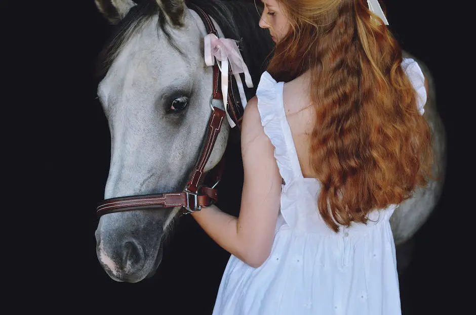 An image of an American Saddlebred horse in motion with its chest out, head high, and mane flowing in the wind. Its rider is wearing traditional equestrian clothing.