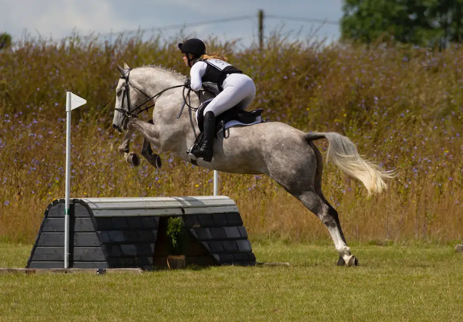 A majestic Furioso-North Star horse competing in a dressage event, demonstrating grace and precision with its movements.