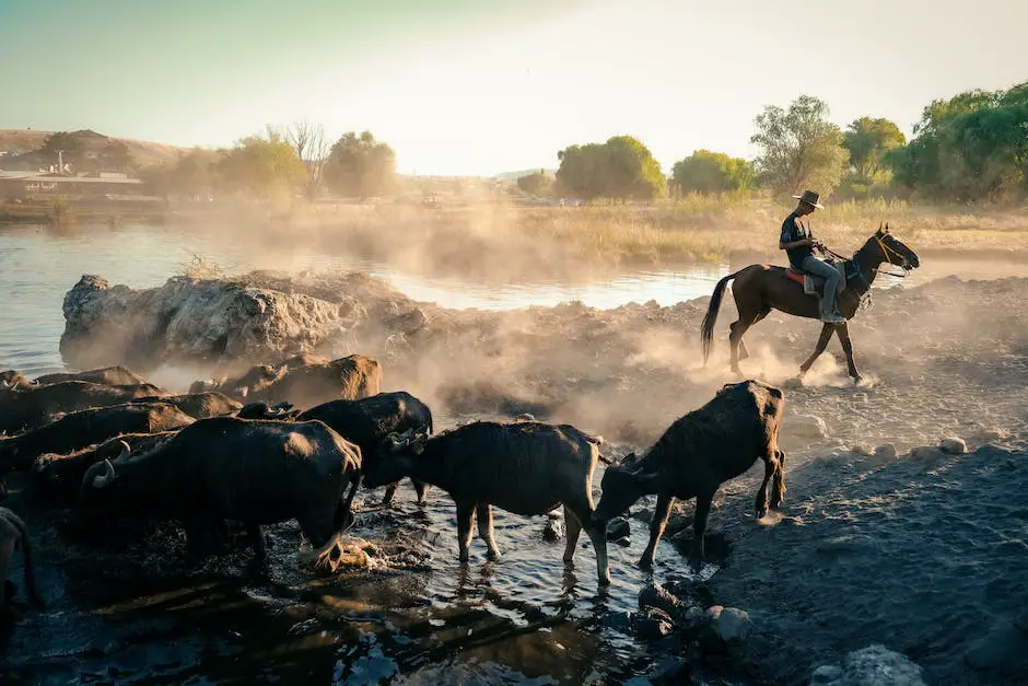 An image of Hungarian cowboys herding cattle in the Puszta plains.