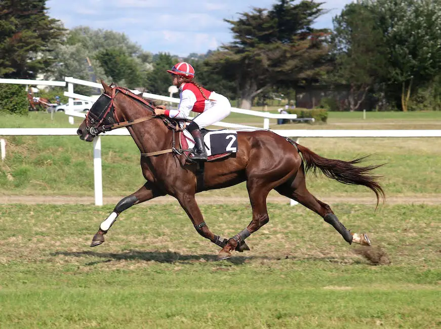 A majestic Oldenburg horse with a sleek, bay coat and a powerful build in motion