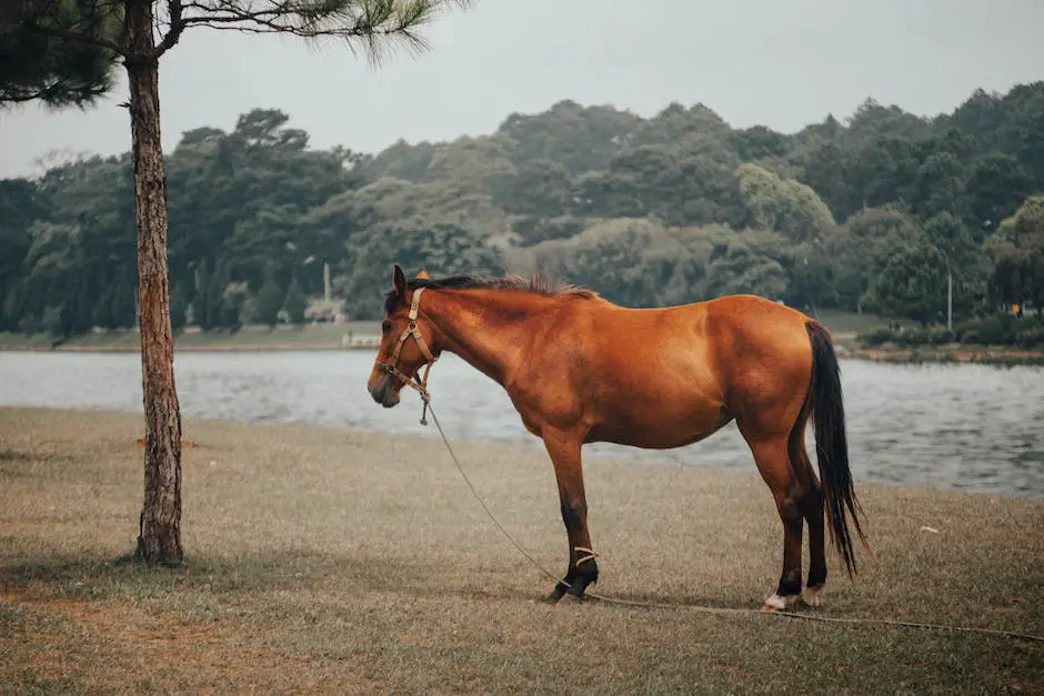 A Rheinlander Horse, standing tall and grazing with greenery on its back, showcasing its physical beauty and athleticism.