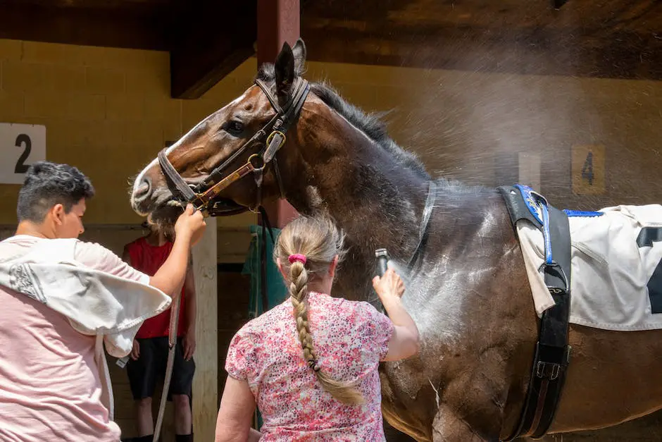 A picture of a well-maintained horse stall with clean bedding, water bucket and walls, and a satisfied horse standing in the middle of it.