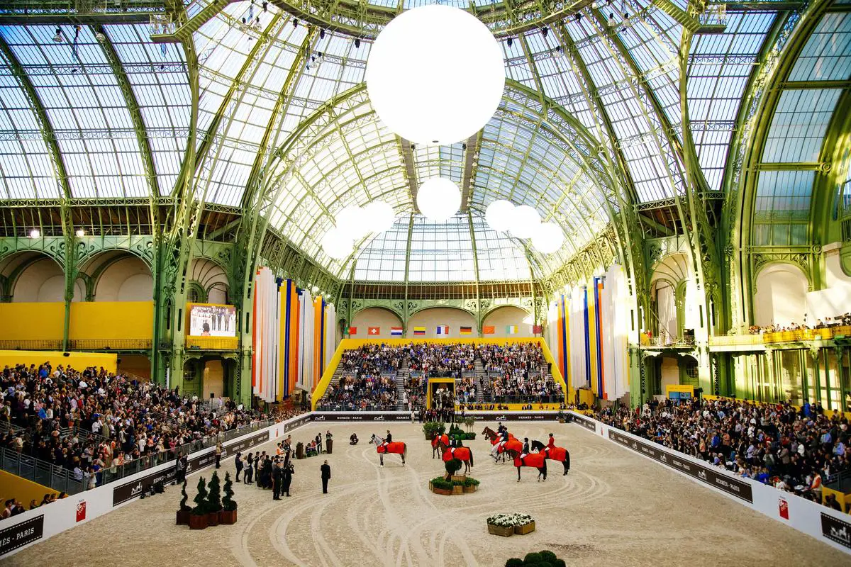 A picture of a rider atop a Saddlebred horse performing in front of an audience at a horse show.