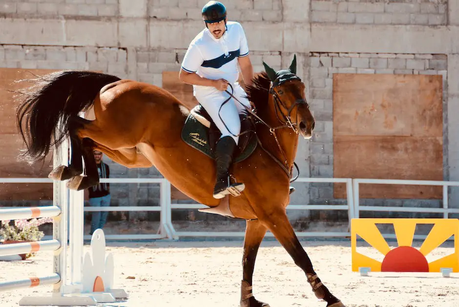 A brown horse with a rider on it is in a large field, and the horse is going for a canter.