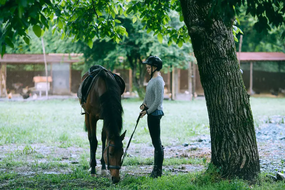 A picture of a horse with its owner walking it around the training ring with other horses and trainers in the background.