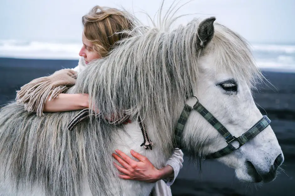 Image of a Shire Horse, a breed known for its large size and strength.