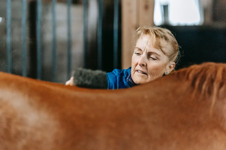 A person grooming a Saddlebred horse with brushes, a comb, and a brush for its mane.