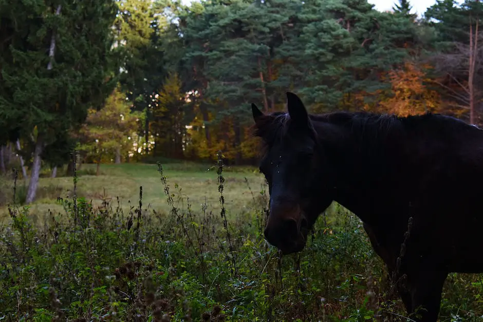 A healthy Bavarian Warmblood horse grazing in a field