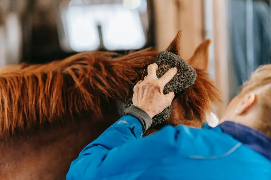 A picture of a person grooming a Shire horse with a brush and smiling at the horse's response