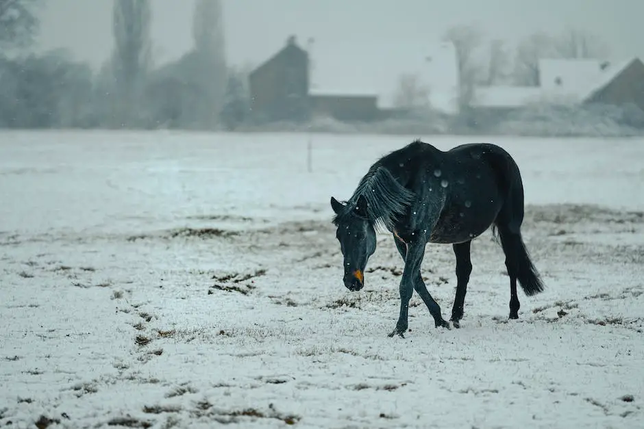 Image of a majestic cold-blooded horse standing in a serene meadow