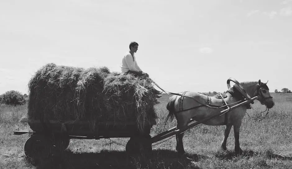 Image of two draft horses pulling a wagon on a farm