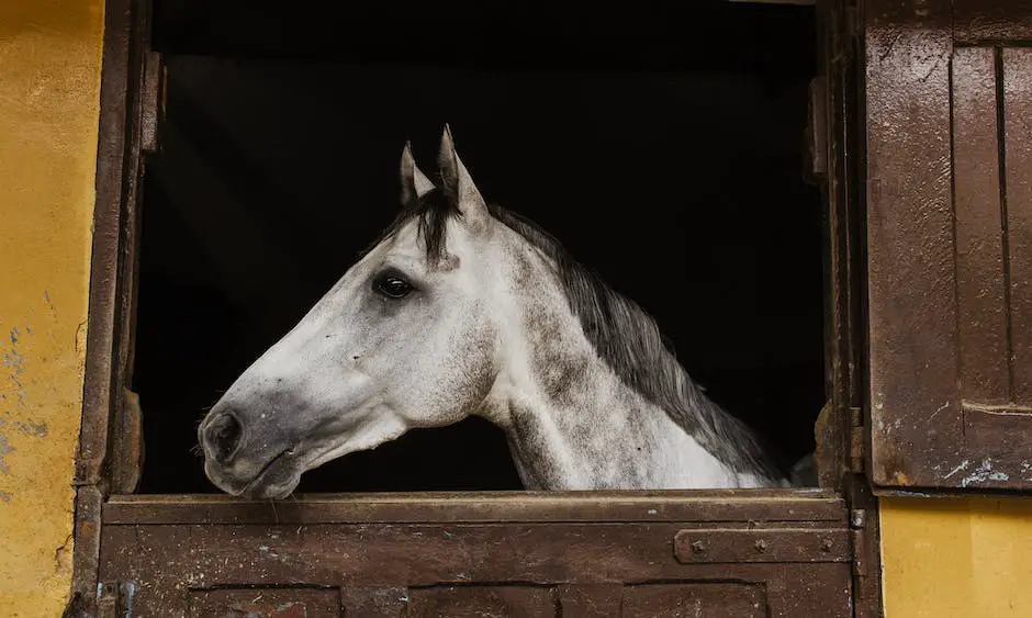 A majestic East Friesian horse with a black coat, arched neck, and strong, muscular body, representing the breed's stunning appearance and versatility.