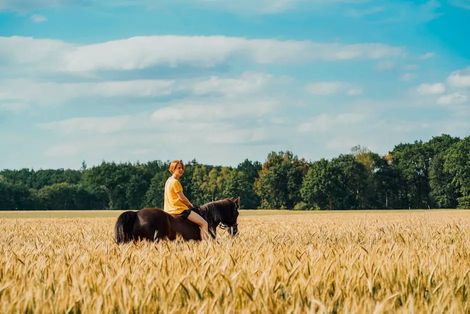 Image of a person riding a horse in the French countryside.