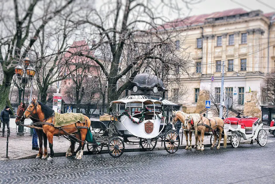 A person driving a horse-drawn carriage through a beautiful French countryside