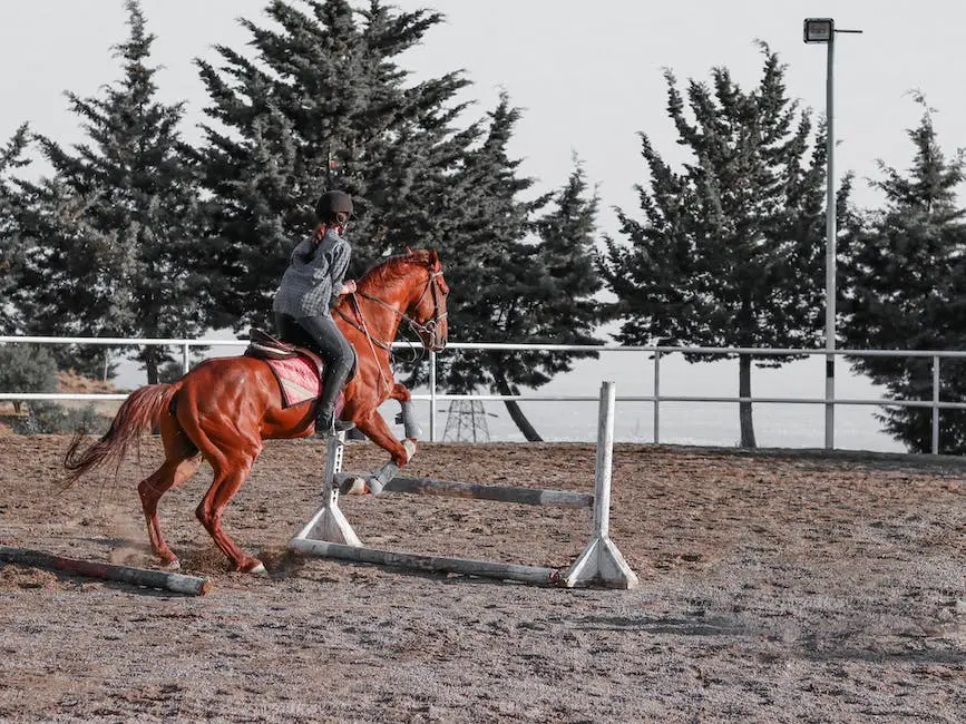 Image depicting a French horse breed with its rider competing in a show jumping event