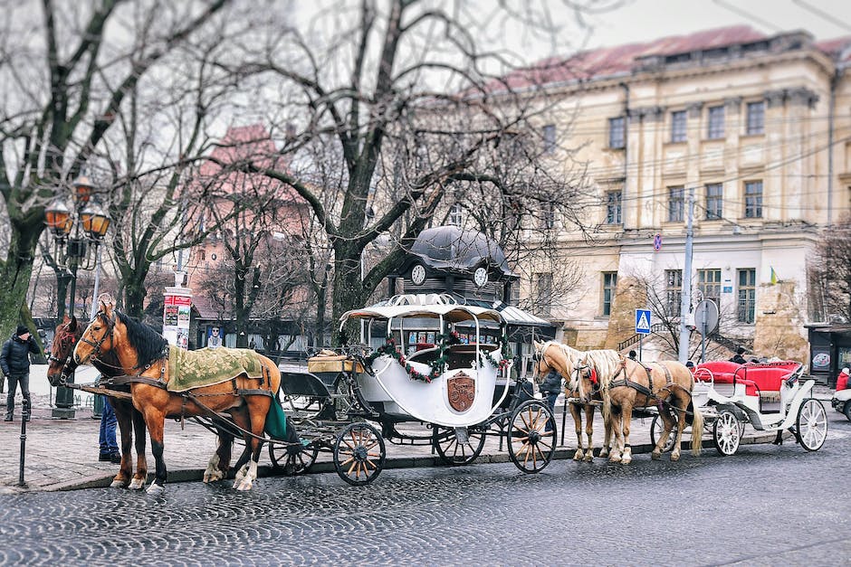 Image of German carriage horses showcasing their elegance and beauty