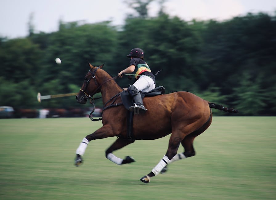 German equestrian rider performing a dressage routine on a bay horse in an arena