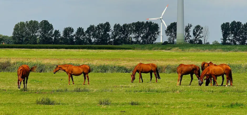 A diverse group of German horse breeds standing together in a field, showcasing their strength and elegance.