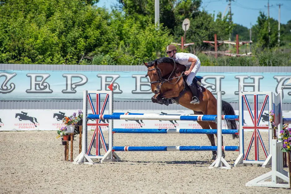 A majestic German horse jumping over an obstacle