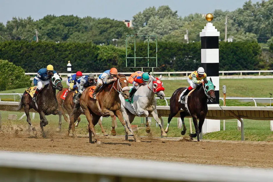 A group of German sport horses in a pasture, showcasing their agility and strength.