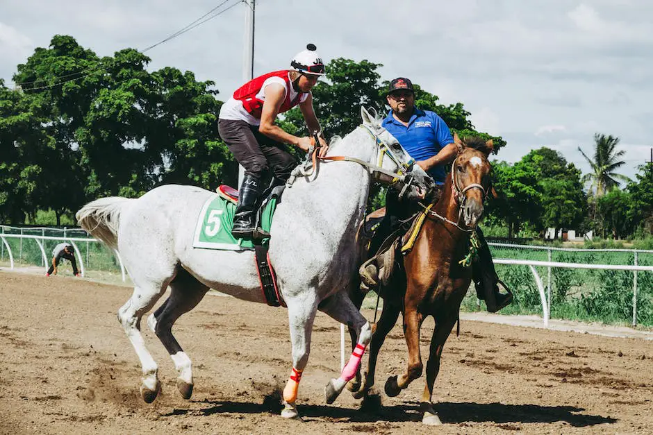 Image of German sport horses showcasing their athleticism and versatility