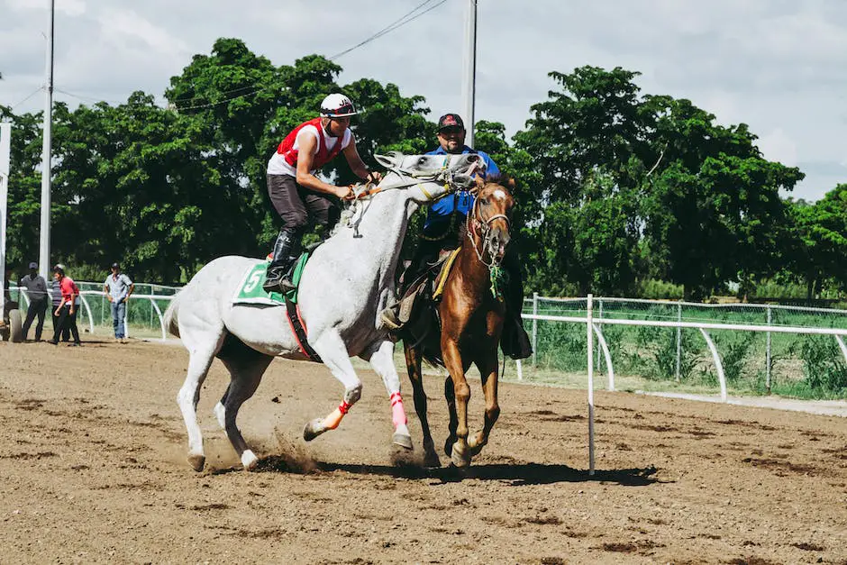 Image of German sport horses showcasing athleticism and versatility in various disciplines.