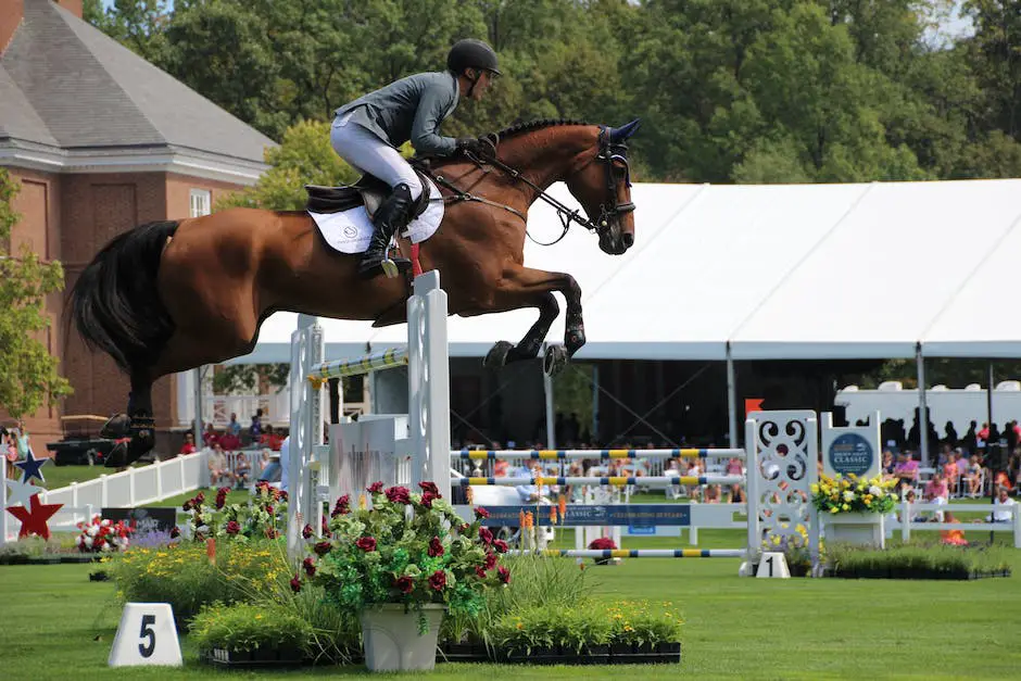 German Warmblood jumping over fences with rider on its back