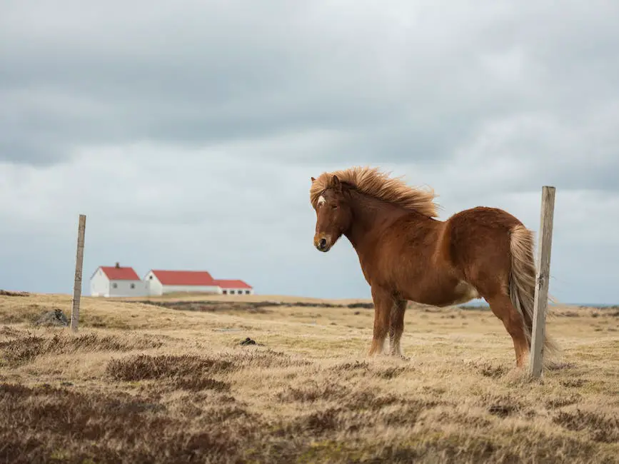 A beautiful chestnut horse with a long mane and tail stand relaxed in a field with green grass and trees. In the background, other horses graze in the same field.