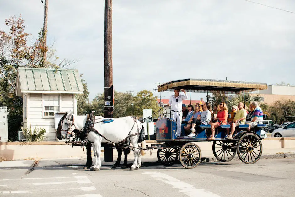 Image of German Carriage Horses, showcasing their strength, endurance, and calm demeanor while pulling a carriage.