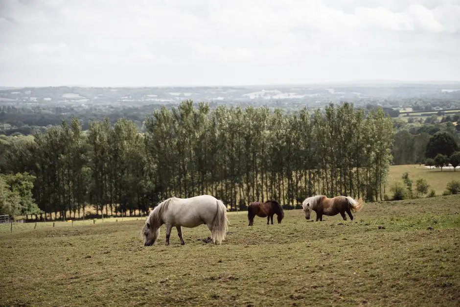 Different horse breeds showing their versatility and athleticism