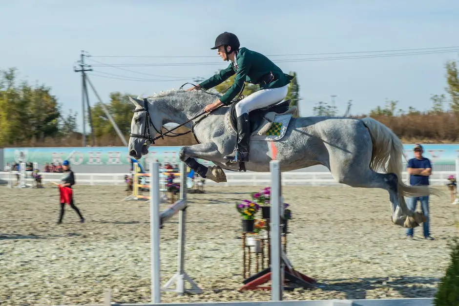 A horse jumping over a fence in a show jumping competition