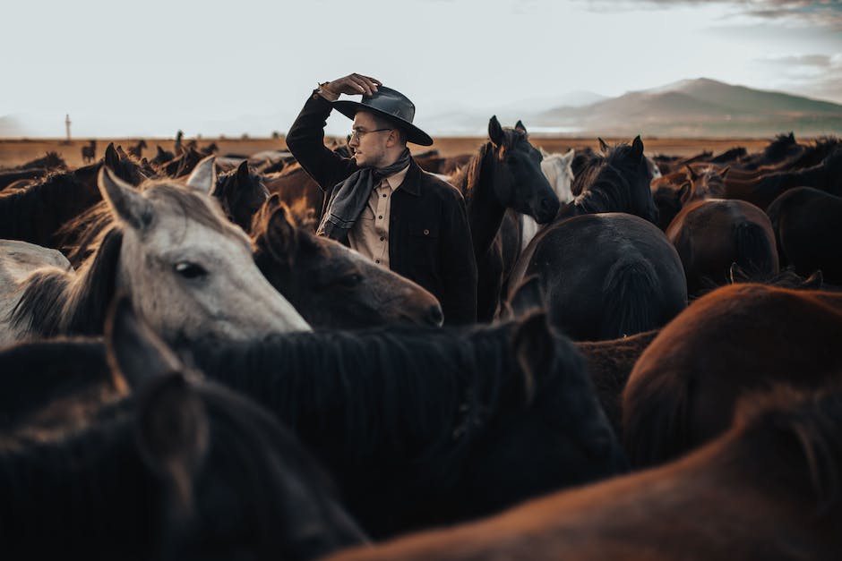 A diverse group of horses grazing in a serene pasture, showcasing the importance of horse welfare and harmonious coexistence with nature.