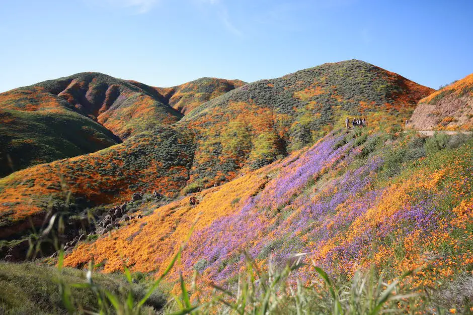 A person riding a horse in the beautiful French countryside. The sun is shining and the landscape is full of green meadows and colorful blooming flowers.