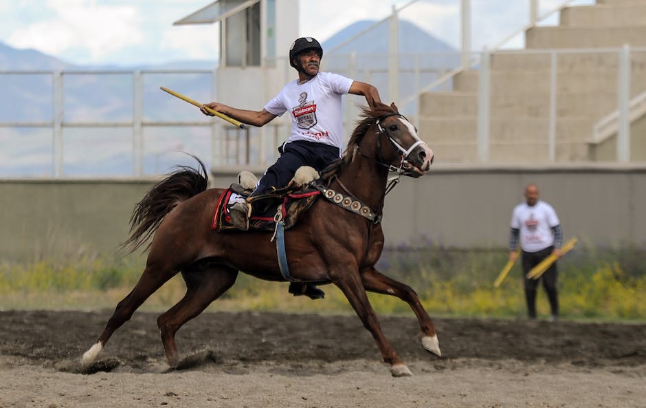 Traditional Hungarian equestrian practices preserved through active community participation and national pride