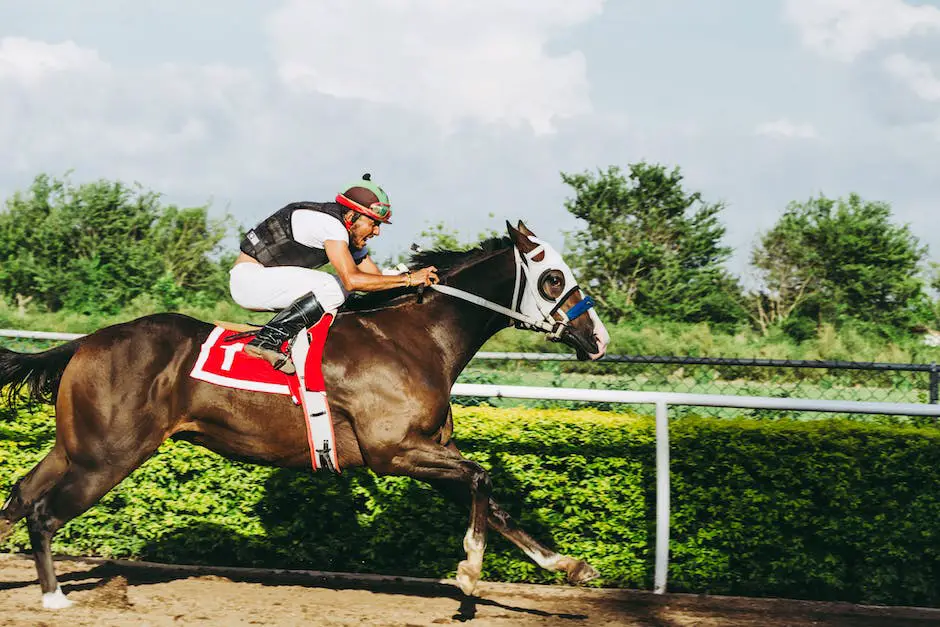 A majestic Hungarian Sport Horse galloping in an open field