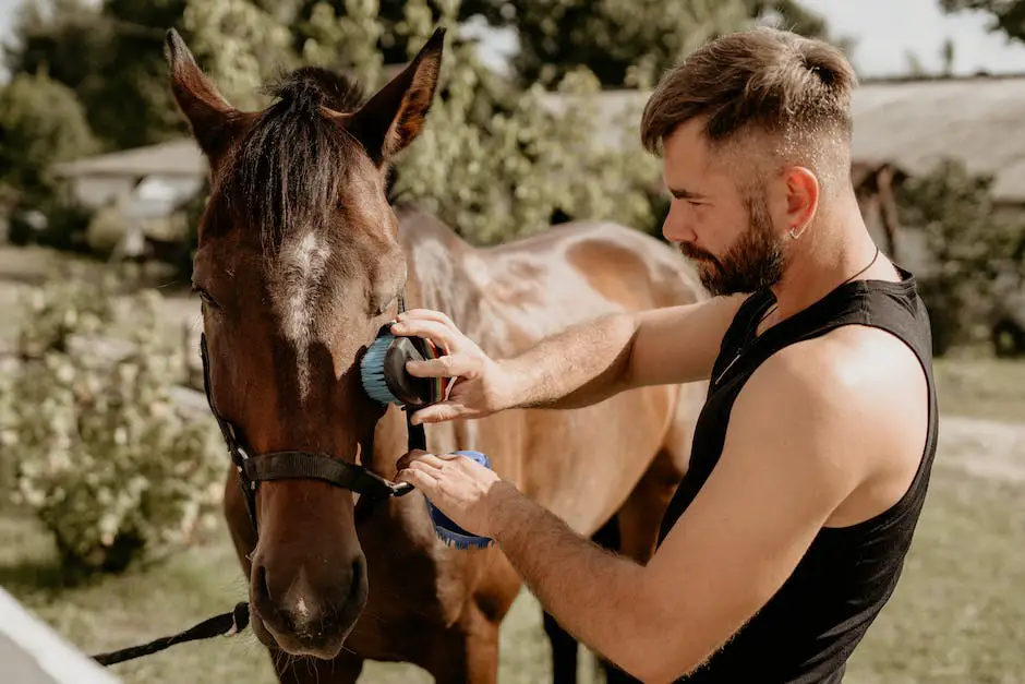 A beautiful horse with a shiny coat standing outside in a green field with a person behind showing care and affection.