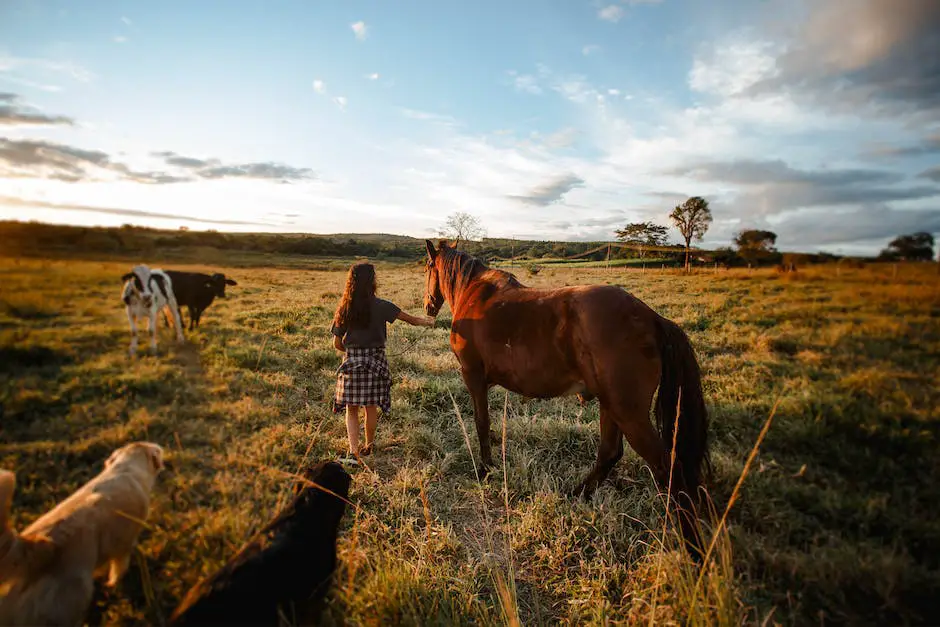 A person leading a horse with a rope in a field while a smaller brown dog sits at their feet.