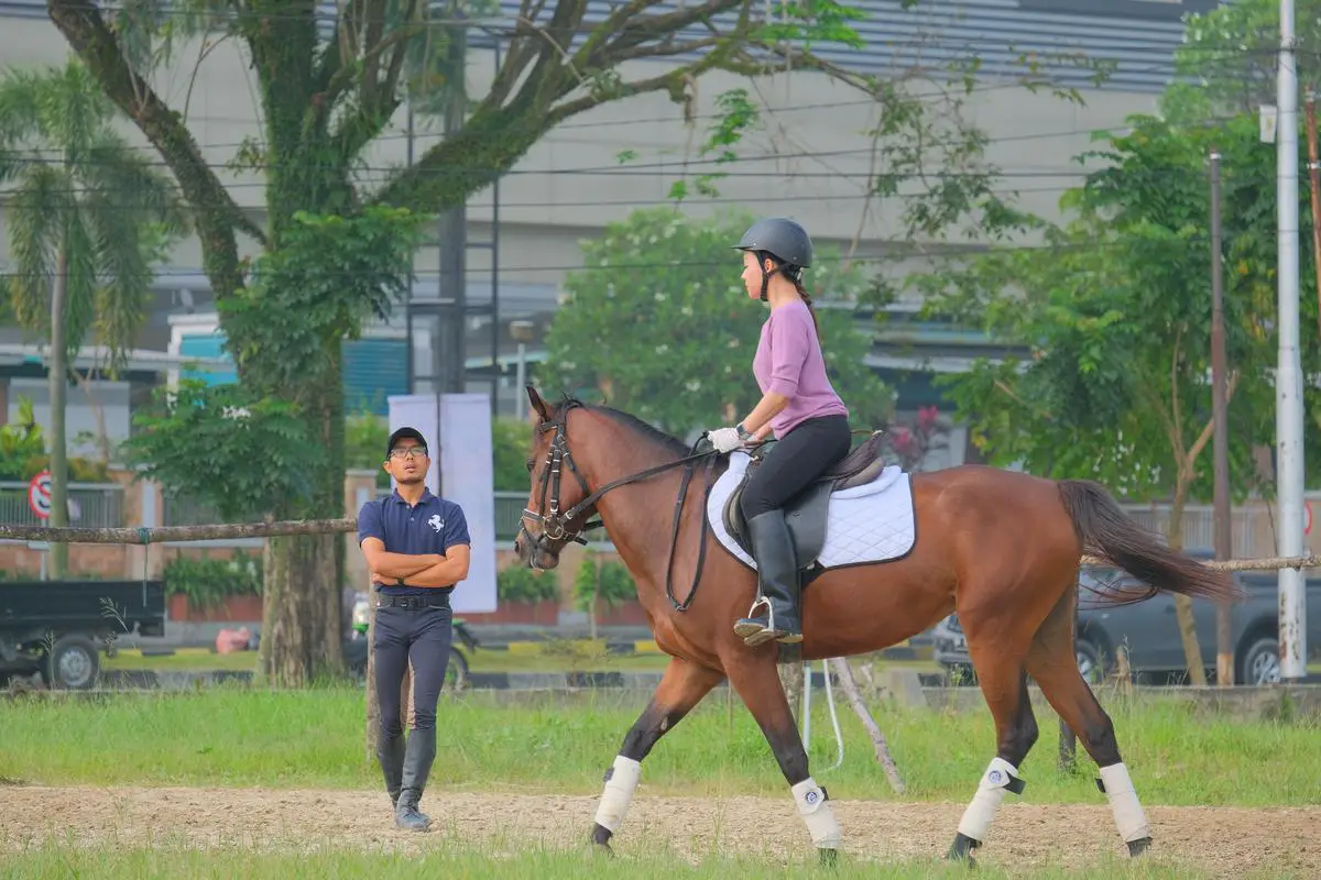 A person riding a muscular and majestic brown colored warmblood horse in a grass field. The rider's posture is straight, balanced and the handholds the reins firmly. The horse is at a trot looking vibrant and healthy with its mane long and beautiful flowing in the wind.