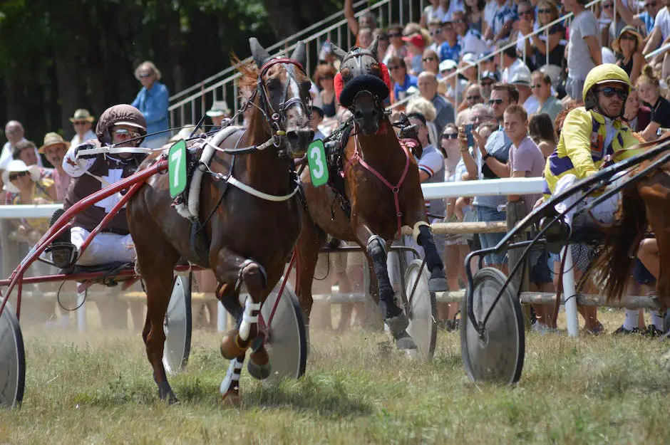 A group of American Saddlebred horses and their riders competing in a show ring with spectators in the background.