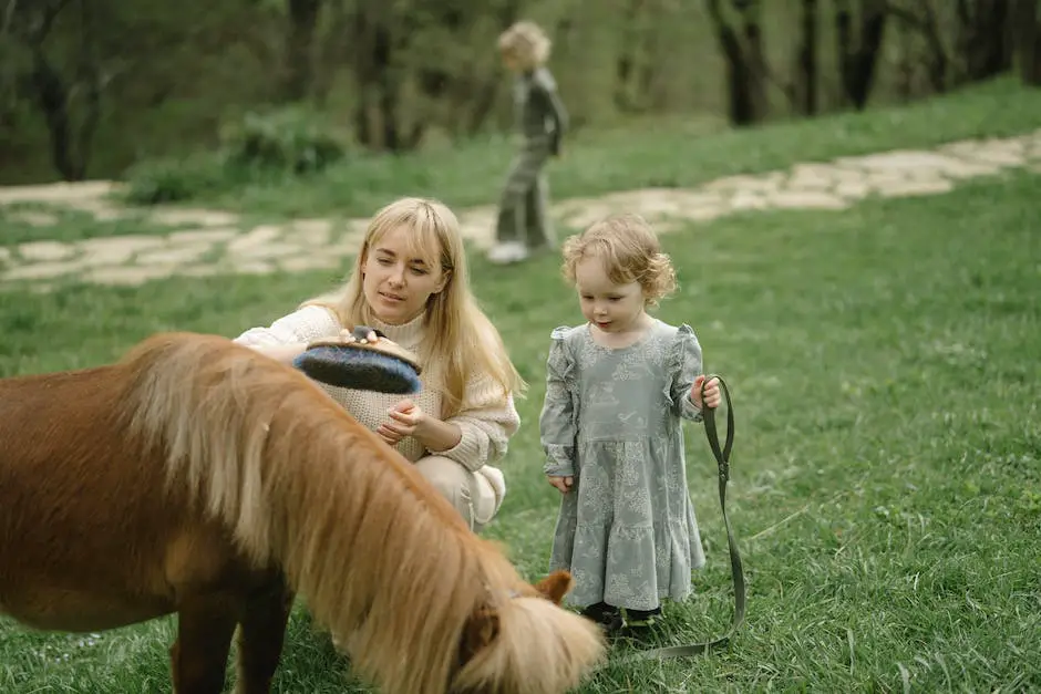 A young girl is brushing a brown and white Saddlebred horse with a big smile on her face.