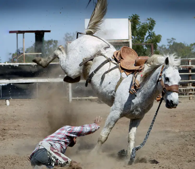 A group of people surrounding a beautiful horse, helping it to stand up.