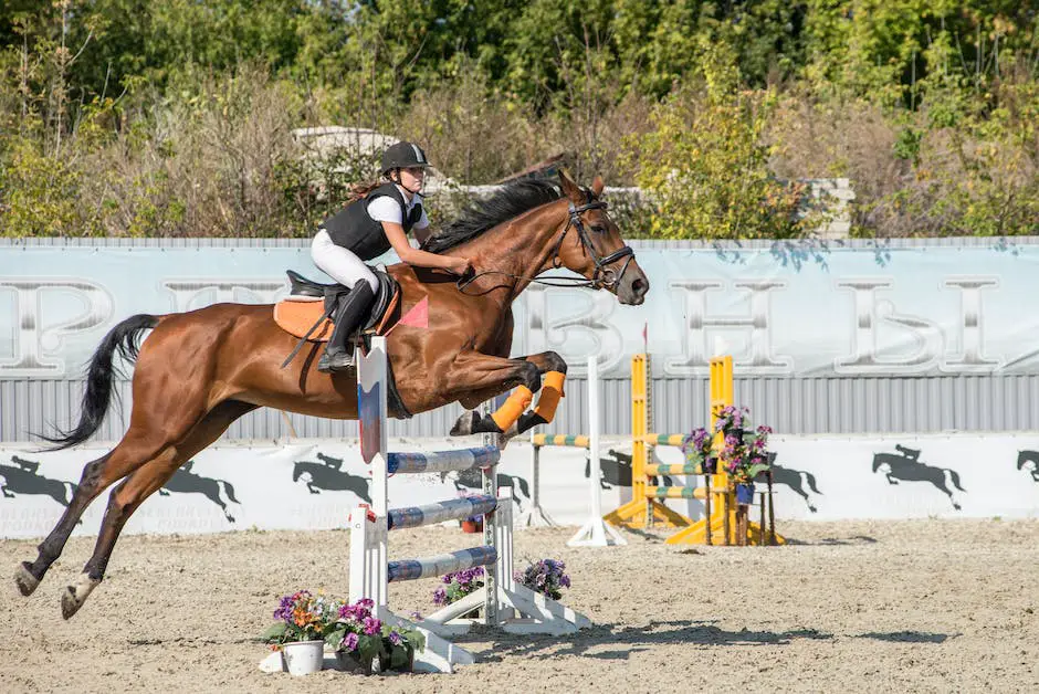 A gorgeous Saddlebred horse displaying its beauty and grace at an equestrian exhibition.