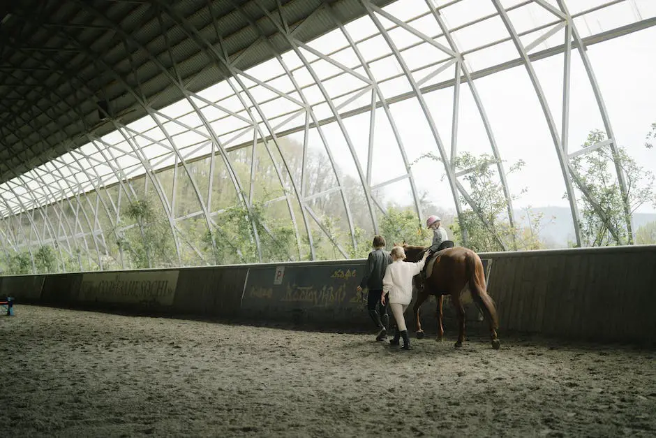 A Saddlebred horse being trained in a training ring with a person guiding the horse.