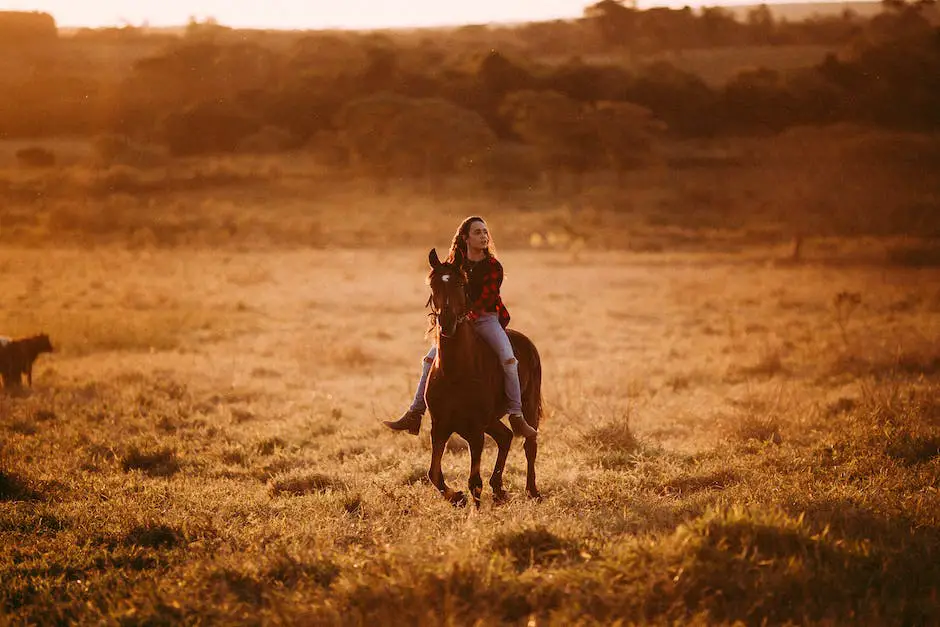 A stunning photograph of a Saddlebred horse standing in a picturesque field at sunset, showing off its proud carriage and long neck.