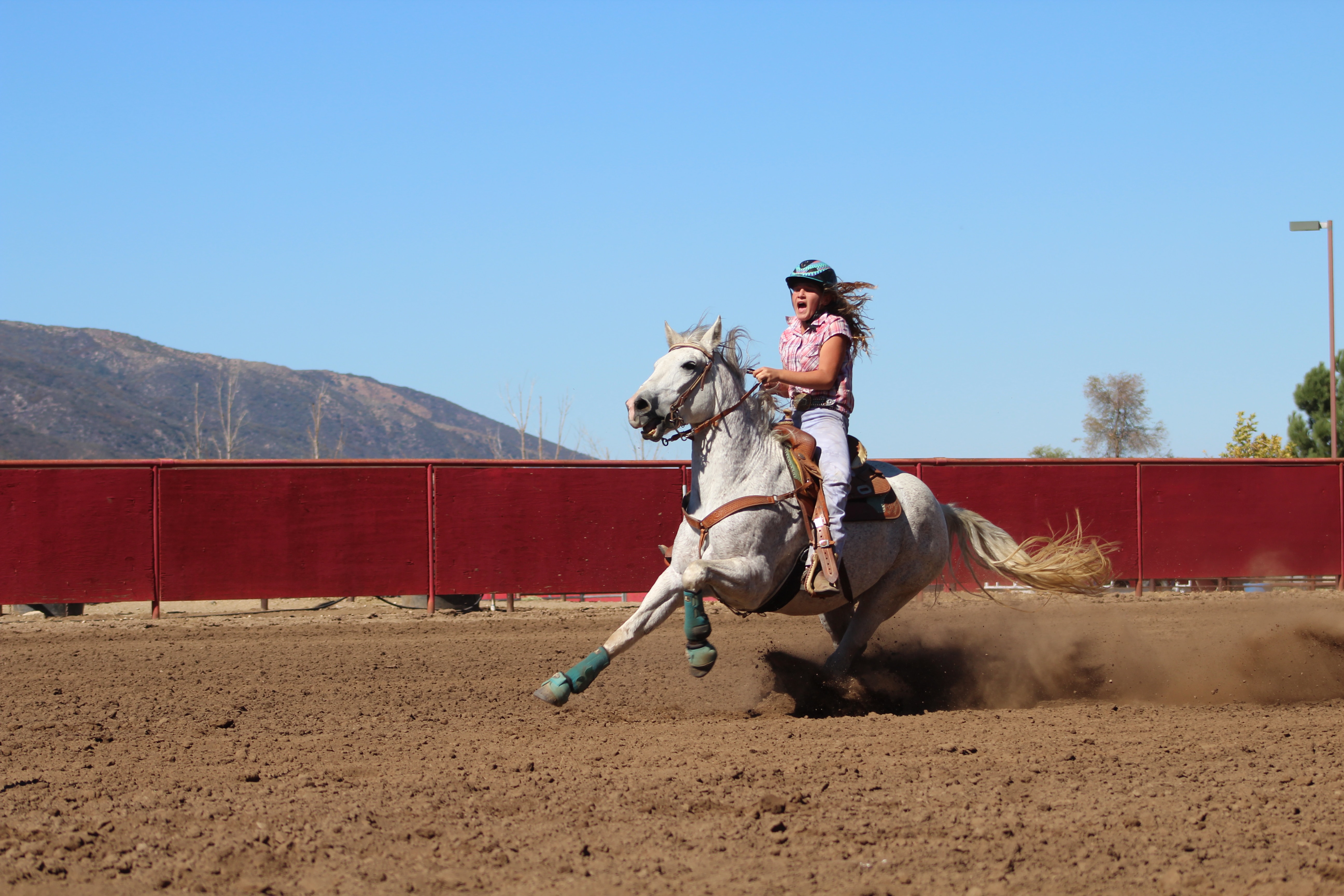 A person in equestrian gear riding a horse in the saddlebred riding style