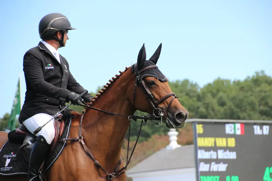 Horse with a rider performing a slow gait in Saddleseat riding, showcasing cadence and fluidity