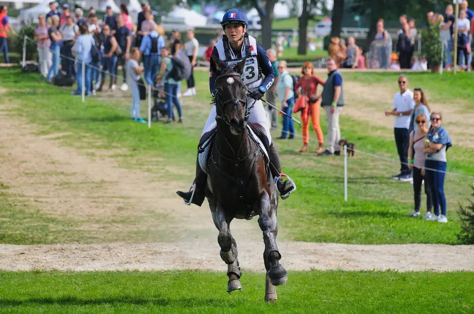 A person riding a horse in a competition arena with other riders in the background.