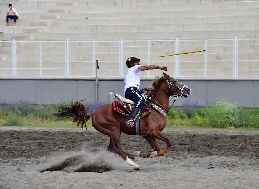 A comparison between a Shire horse and a Percheron, two majestic and versatile horse breeds.